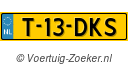 T13DKS
