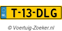 T-13-DLG