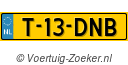 T13DNB