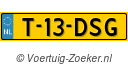 T13DSG
