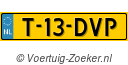 T13DVP
