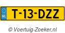 T13DZZ