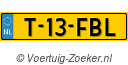 T13FBL
