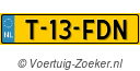 T13FDN