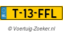 T13FFL