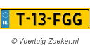T13FGG