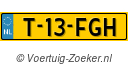 T13FGH