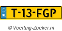 T13FGP