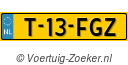 T13FGZ