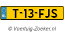 T13FJS