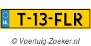 T13FLR