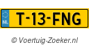 T13FNG