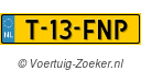 T13FNP