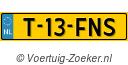T-13-FNS