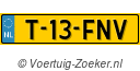 T13FNV