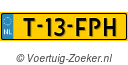 T13FPH