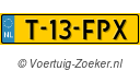 T13FPX