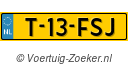 T13FSJ
