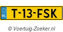T13FSK