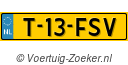 T13FSV