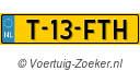 T13FTH