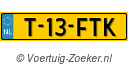 T13FTK
