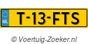 T13FTS