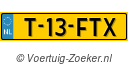 T13FTX