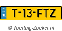T13FTZ