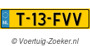 T13FVV