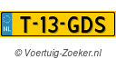 T13GDS