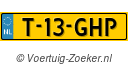 T13GHP