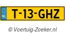 T13GHZ