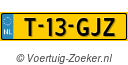 T13GJZ