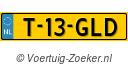 T-13-GLD