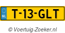 T-13-GLT