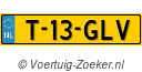 T-13-GLV