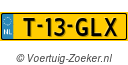T-13-GLX