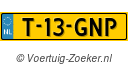 T13GNP