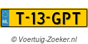 T-13-GPT