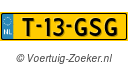 T13GSG