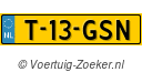 T13GSN