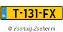 T131FX