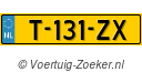 T131ZX