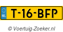 T16BFP