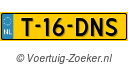 T-16-DNS