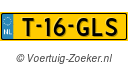 T16GLS