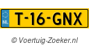 T16GNX