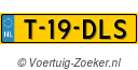 T19DLS