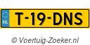T19DNS